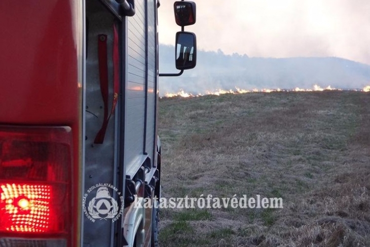 Idén már több ezerszer riasztották a tűzoltókat szabadtéri tüzek miatt