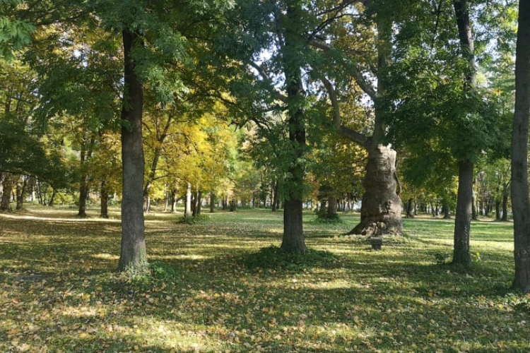 Kezdődik a kivitelezés a Várkertben