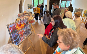 Kiss László alkotásaiból nyílt kiállítás az Esterházy-kastélyban