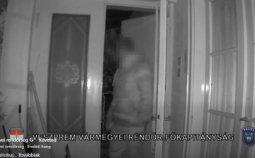 Tartós élelmiszert és autógumikat lopott az önkormányzat egyik épületéből