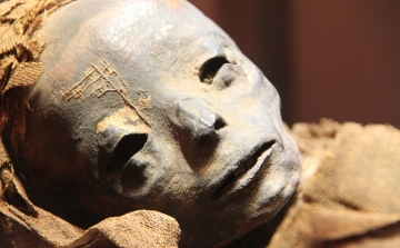 Legalább 34 múmiára bukkantak egy egyiptomi ókori sír feltárásakor