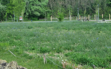 A Vágatlan Május jelentőségéről írt a pápai főkertész