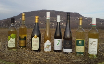Bormustra - Hatvan féle bort kóstolhat