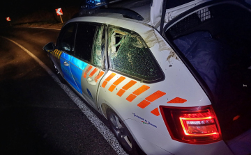 Rendőrautó és szarvasbika találkozott Kapolcsnál