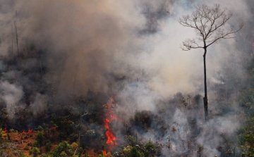 Műholdfelvételek szerint a tavalyinál mintegy négyszer több tűz tombol az Amazonas vidékén