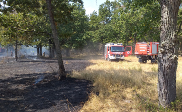 Hetvenkét tűzoltó tizennyolc járművel küzdött a lángokkal