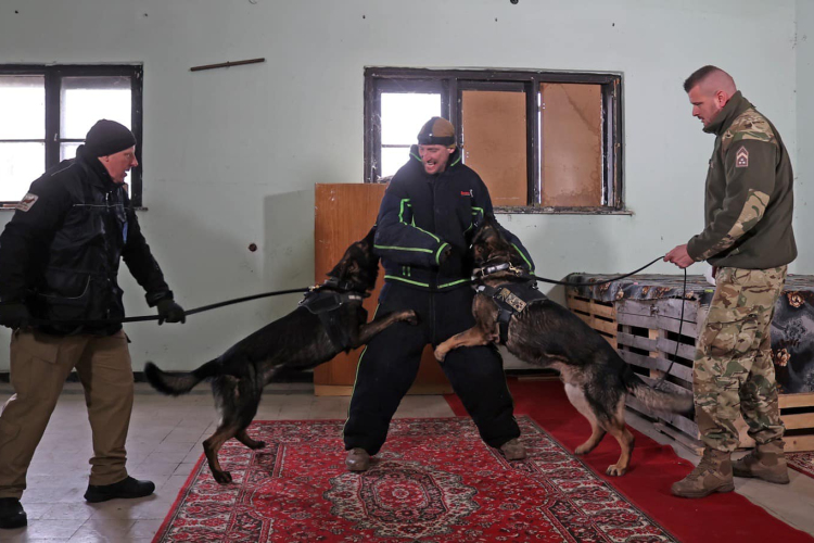Közös járőrkutya kiképzés a Bázisrepülőtéren