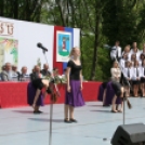 Városi ballagás - Pápa - 2013