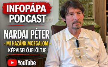 InfoPápa Podcast - Beszélgetés Nardai Péterrel