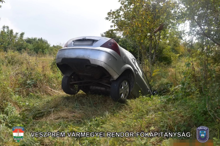 Megpróbált elmenekülni Pápán a rendőrök elől, árokban kötött ki - Videó