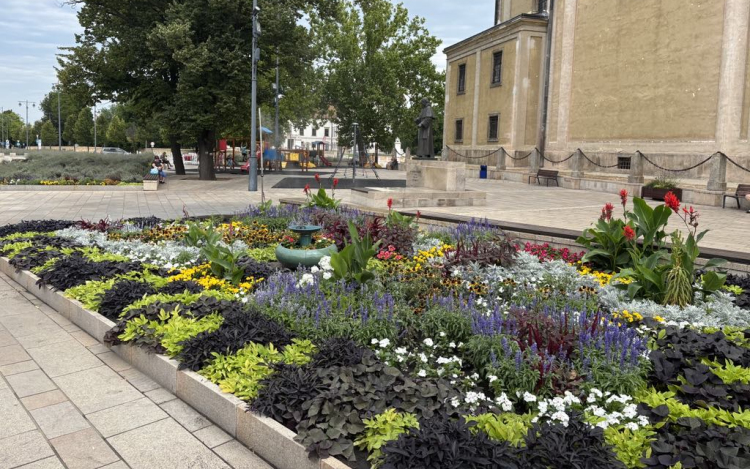 Virágos Magyarország verseny - Tájépítészeti díjat kapott Pápa