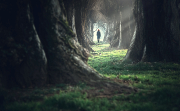 A női pszichothrillerek rémvilágában