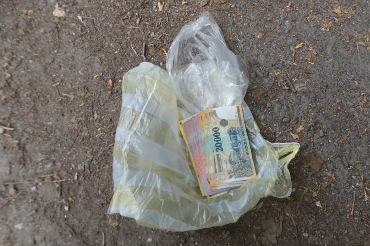 Egy fa tövébe ásta el a lopott pénzt az 52 éves tolvajnő