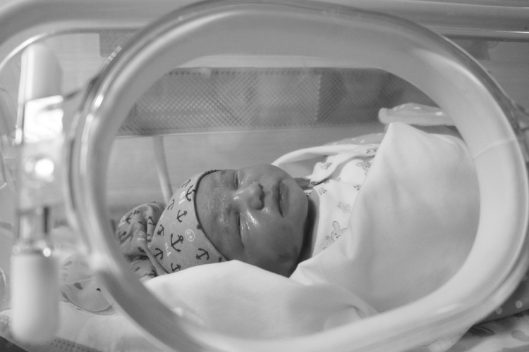 Két inkubátorra is elegendő pénz gyűlt össze a családszervezetek jótékonysági vásárán