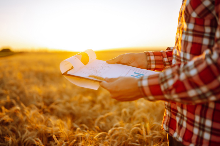 Föld adásvétel lépésről lépésre – hogyan működik az elővásárlási jog a gyakorlatban?