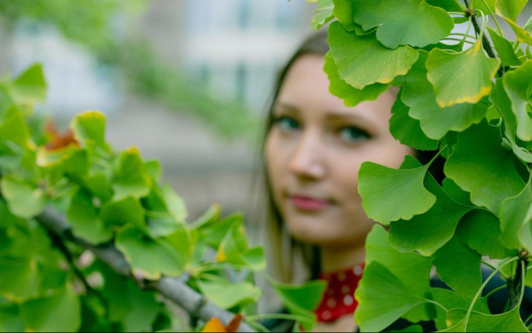 Szellemi frissesség a változó évszakokban – Koncentráció javítása ginkgo biloba kivonattal