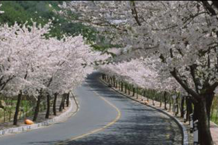 Ezekre figyeljen tavasszal, ha közlekedik