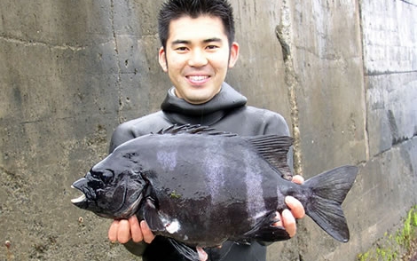 Átcsónakázott öt hal Japánból Amerikába
