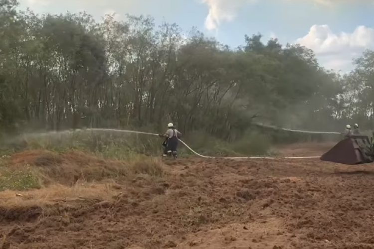 1000 tűzoltó küzdött a lángokkal - Videó