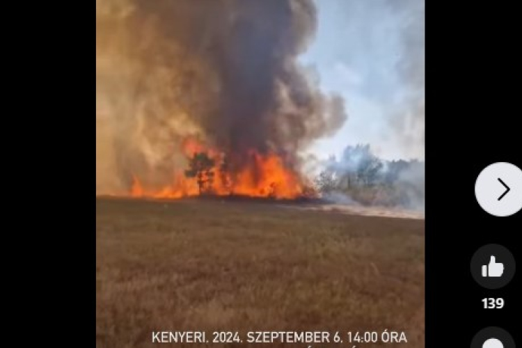 Újra lángol a fenyves Kenyerinél - Videó