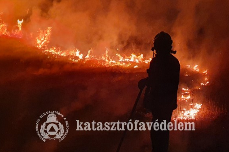  Tíz hektáron égett a nádas Adorjánházánál