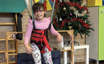 Jótékonysági licit indult a pápai Korina támogatására