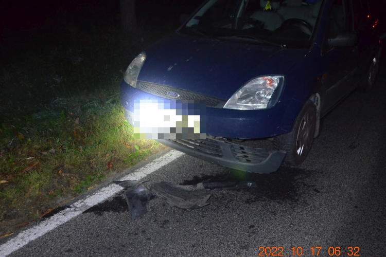 Óvatosan a Bakonyban - Sok vadbaleset történik a megye útjain!